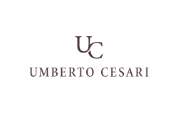 Cesari fondatore Fondazione Rizzoli