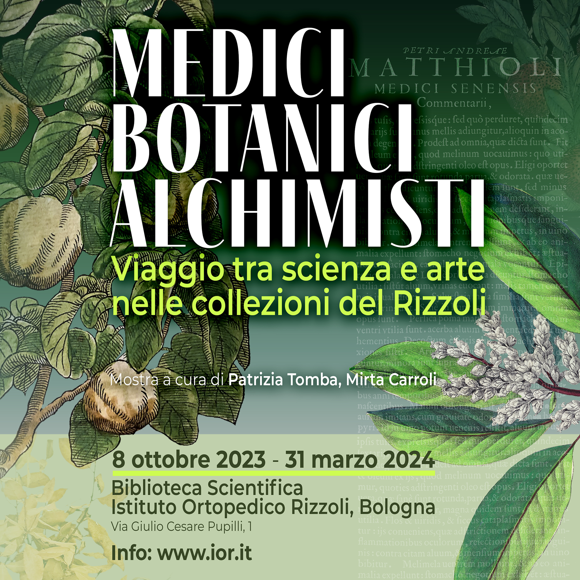 Medici, botanici e alchimisti. Viaggio tra scienza e arte nelle collezioni del Rizzoli