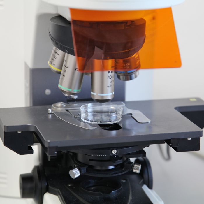 Luglio mese internazionale della consapevolezza sui sarcomi: l’impegno della Fondazione Rizzoli nella ricerca scientifica
