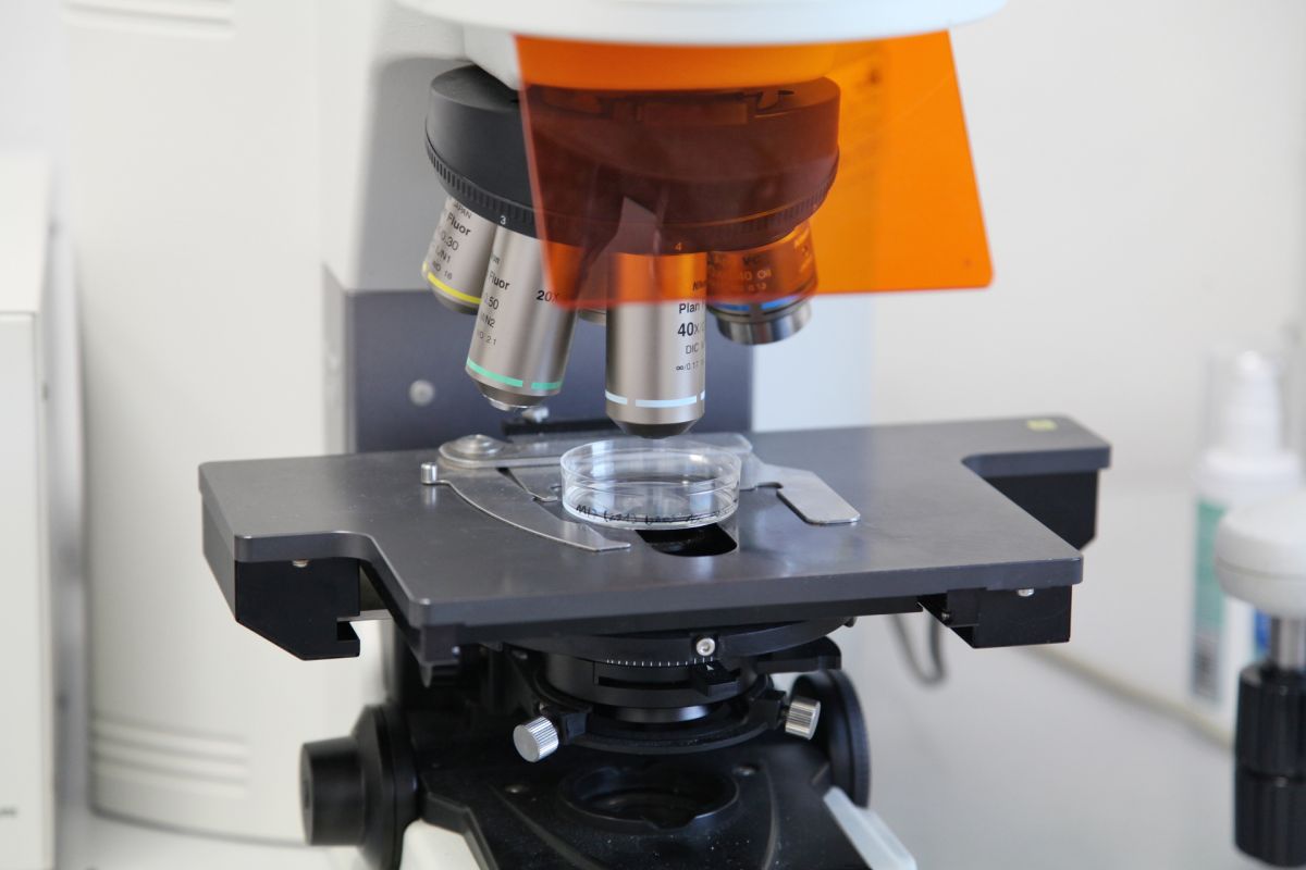 Luglio mese internazionale della consapevolezza sui sarcomi: l’impegno della Fondazione Rizzoli nella ricerca scientifica