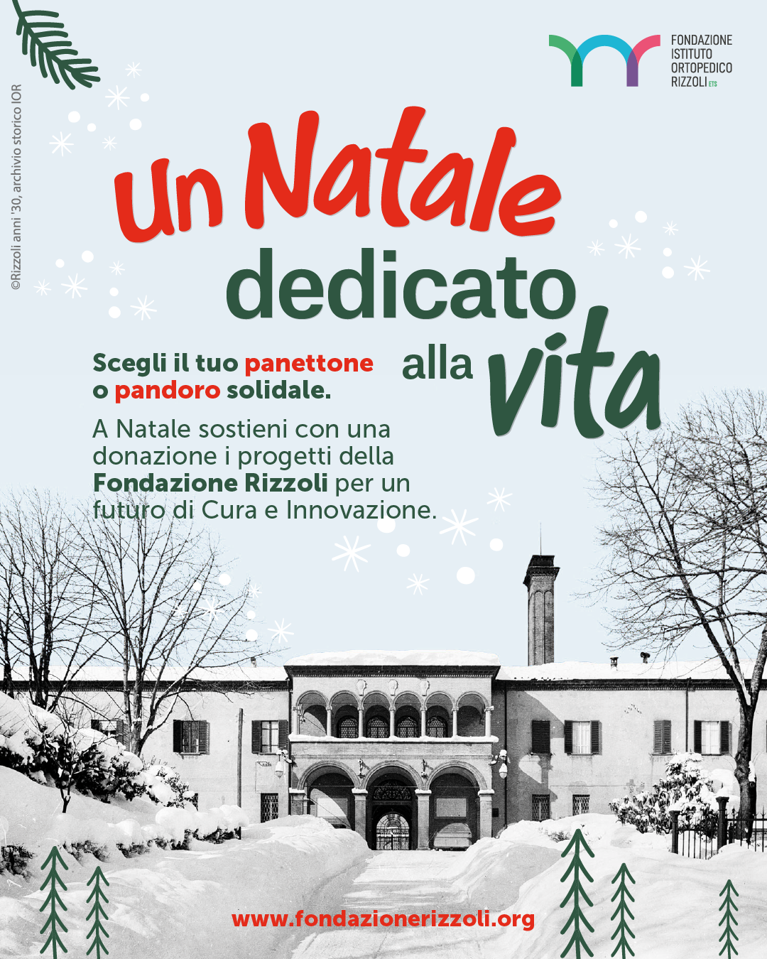 Un Natale dedicato alla vita: grazie!